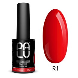 PALU Lakier hybrydowy Hollywood R1-11g.