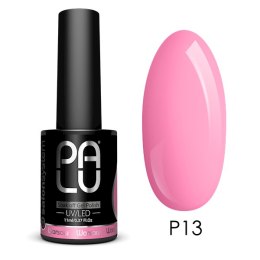 PALU Lakier hybrydowy Warsaw P13-11g.