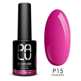 PALU Lakier hybrydowy Warsaw P15-11g.